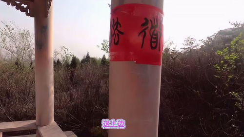 清徐服务区新发现 共享自行车服务，旅途中的便捷新选择