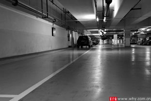 周边民营停车场 性价比之选，让浦东机场出行更从容